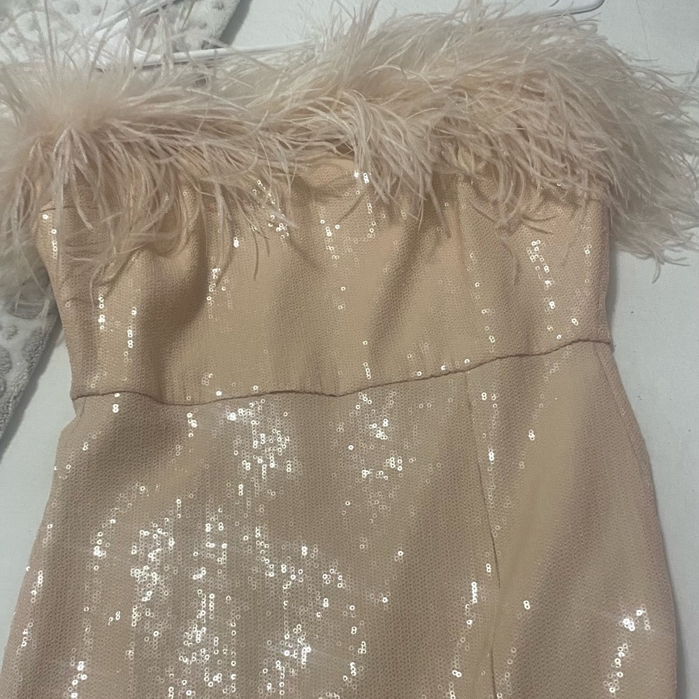 Amanda up Richard light pink feathers dress